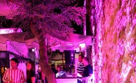 House +saxophone? Odlična kombinacija za zabavu do jutra! La Cioccolata, Poreč